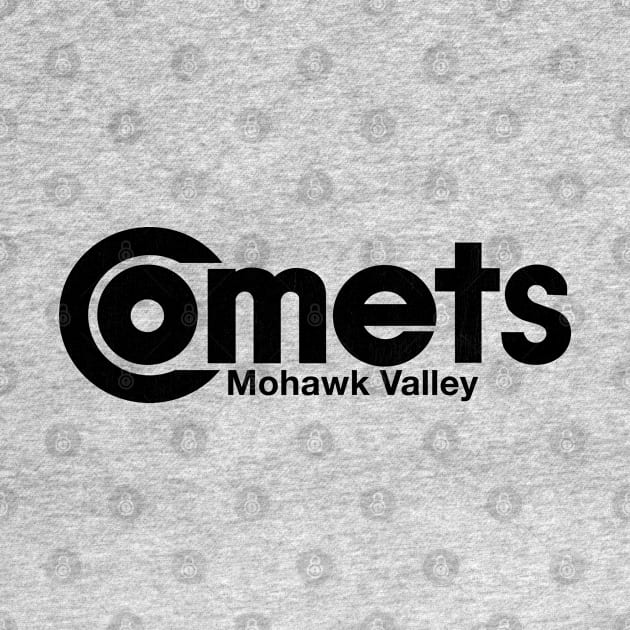 Defunct Mohawk Valley Comets Hockey 1973 by LocalZonly